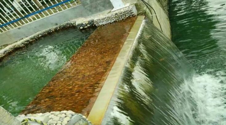 【關(guān)注】使命必達、久久為功——走近中建環(huán)能華東公司