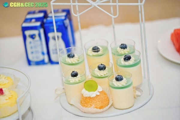 CGH&CEC 2025第二屆中國綠氫博覽會(huì)&中國電解槽大會(huì)圓滿落幕