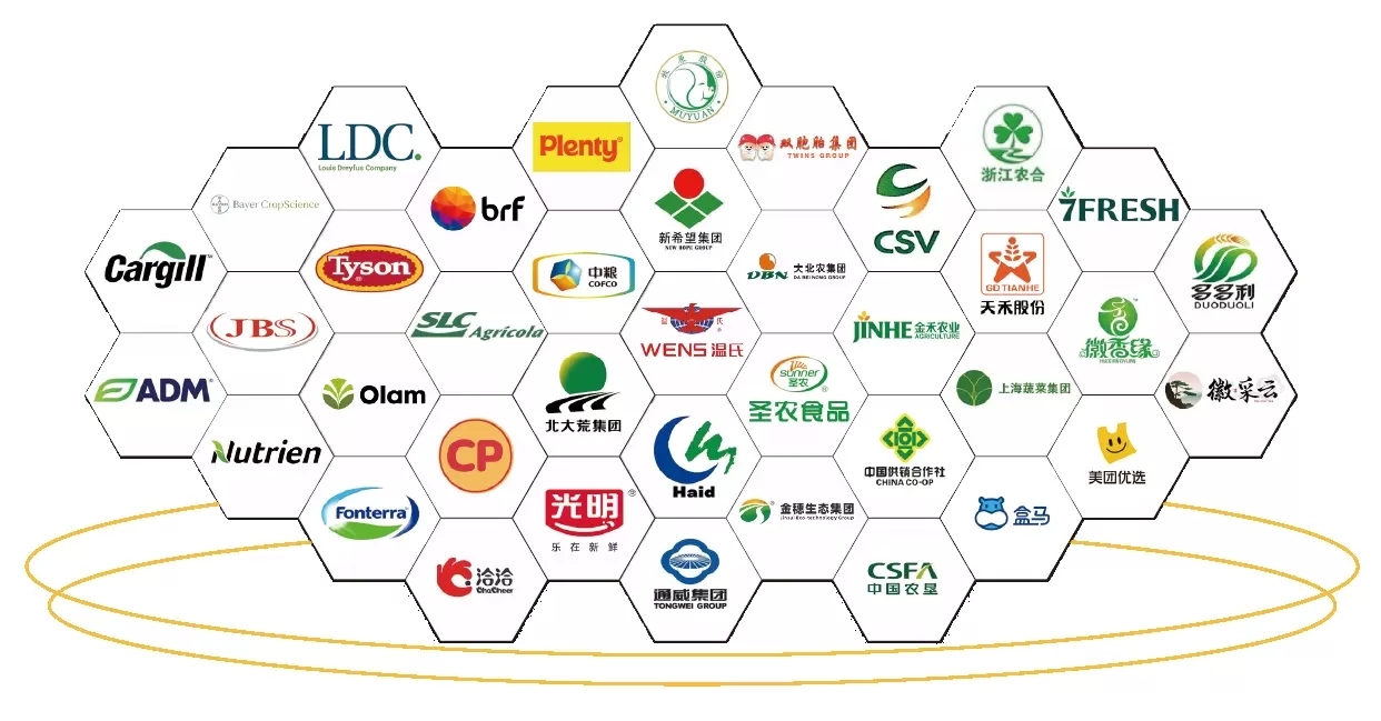 2026 IRID國際鄉(xiāng)村發(fā)展創(chuàng)新博覽會(huì)正式啟動(dòng)：科技賦能鄉(xiāng)村，創(chuàng)新引領(lǐng)未來！